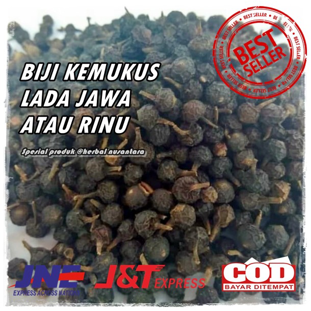 

Biji Kemukus lada jawa Rinu Piper cubeba Kering dari hutan