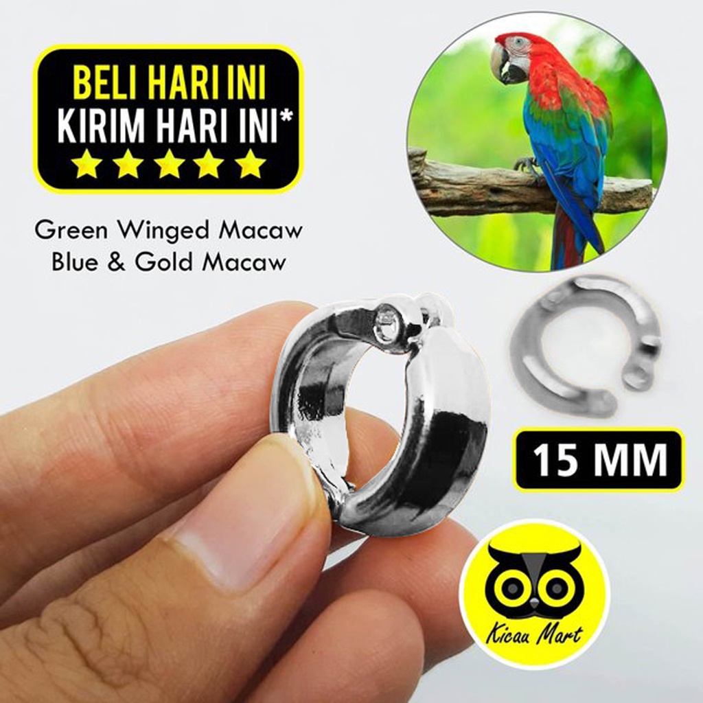 RING KAKI BURUNG STAINLESS STEEL IMPORT 15 MM RING GELANG MACAU MACAW RANTAI TRAINING LATIH RCG15M