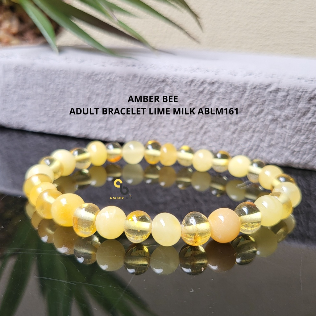 Gelang Amber Baltic Dewasa Premium Mix Two Colors ABLM161 By Amber Bee