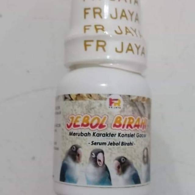 Jebol birahi ORIGINAL FR JAYA