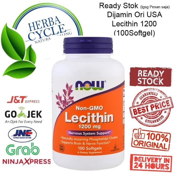 Now Foods Lecithin 1200 mg 100 gel Vitamin Syaraf Ori USA Now Lecithin Saraf