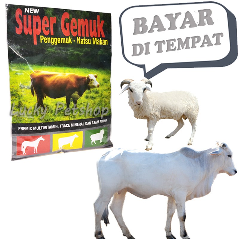 VITAMIN NAFSU MAKAN SAPI KERBAU KAMBING SUPER GEMUK