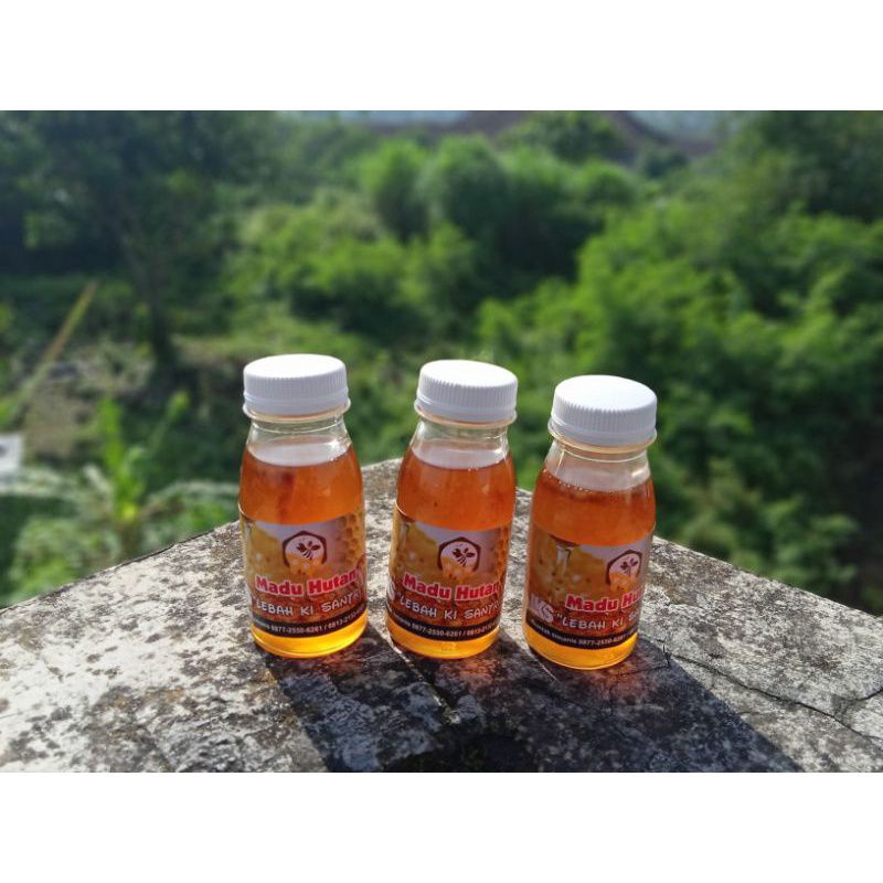 

Madu Hutan Murni Asli Tanpa Campuran -lebahkisantri- Netto:100gram