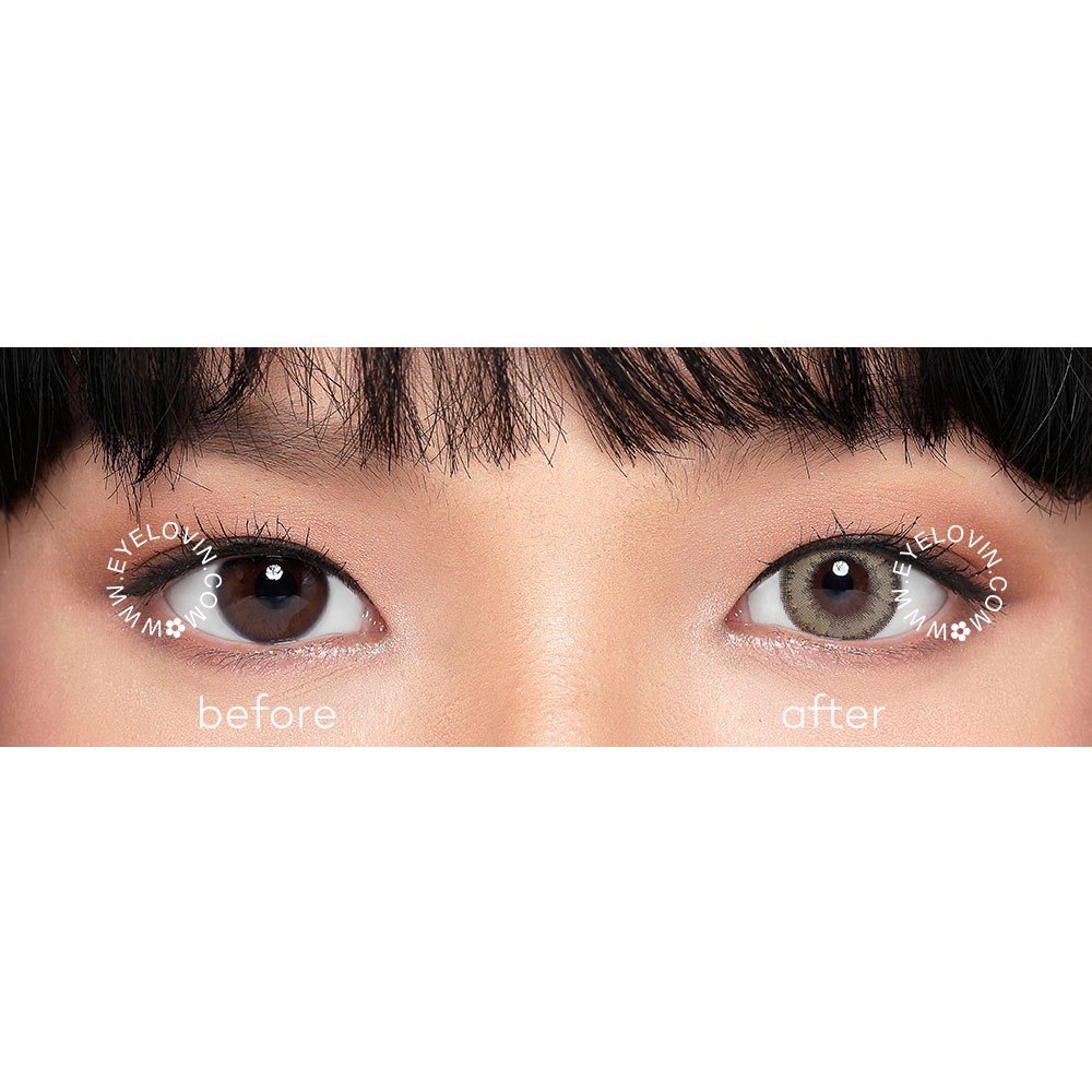 EYELOVIN Softlens Mite Clair - Luna Natural Honey