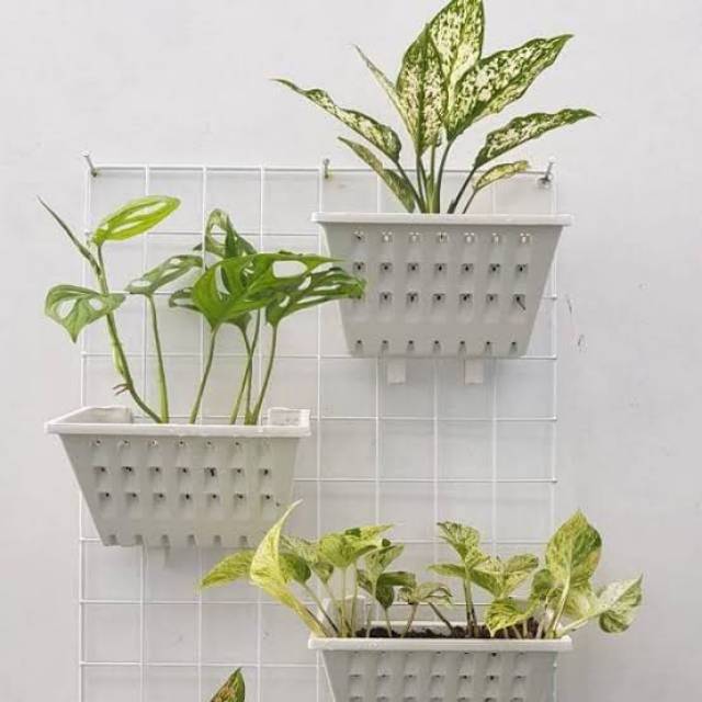 POT ARGO 01 02 POT KAIT GANTUNG MERAMBAT Shopee Indonesia POT ARGO 01 02 POT KAIT GANTUNG MERAMBAT Shopee Indonesia