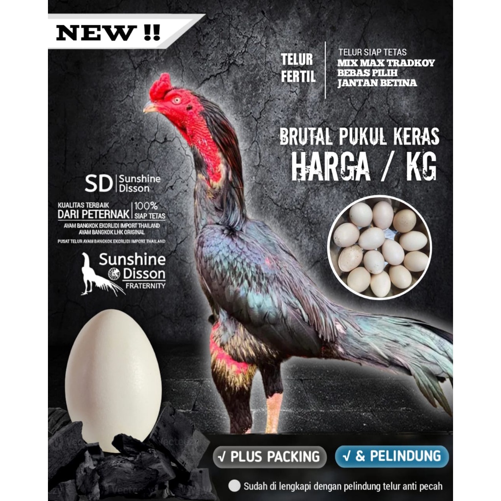 ayam bangkok pakhoy balckbull mix manedaeng f1 telur fertil per kg siap tetas