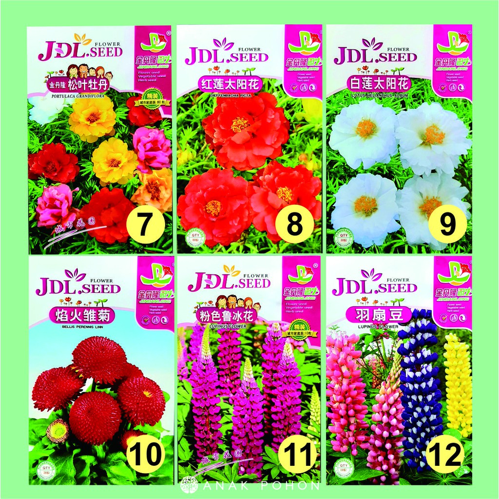 Benih Aneka Bunga Flower JDL Seed Retail Pack - Tipe A