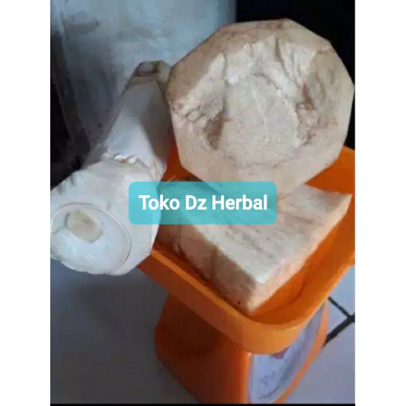 

Jual umbut pohon aren / Sayuran umbut aren 500 gram