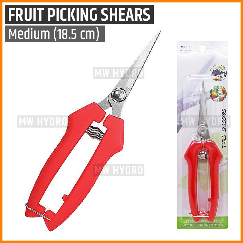 Gunting Buah, Bunga, Daun, Bonsai - Fruit Picking, Thinning Shears - M