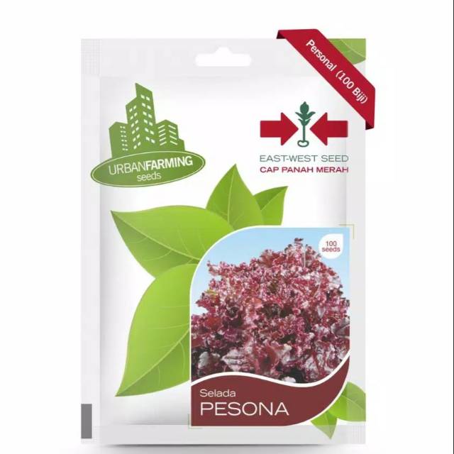 Benih Selada Keriting Pesona Cap Panah Merah Kualitas Terbaik