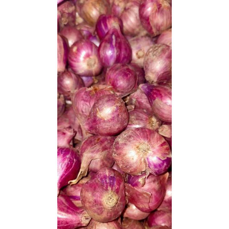 

Bawang Brebes super1kg