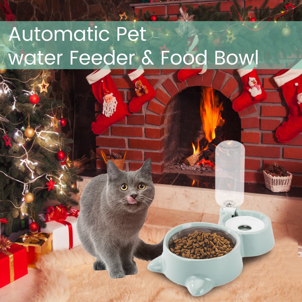 Cat Dog Feeder Water Food Bowl Set Dogs Cats Stainless Steel Automatic Water Dispenser Double Pet Bowls Bottle For Small Medium Dog Cat Shopee Indonesia