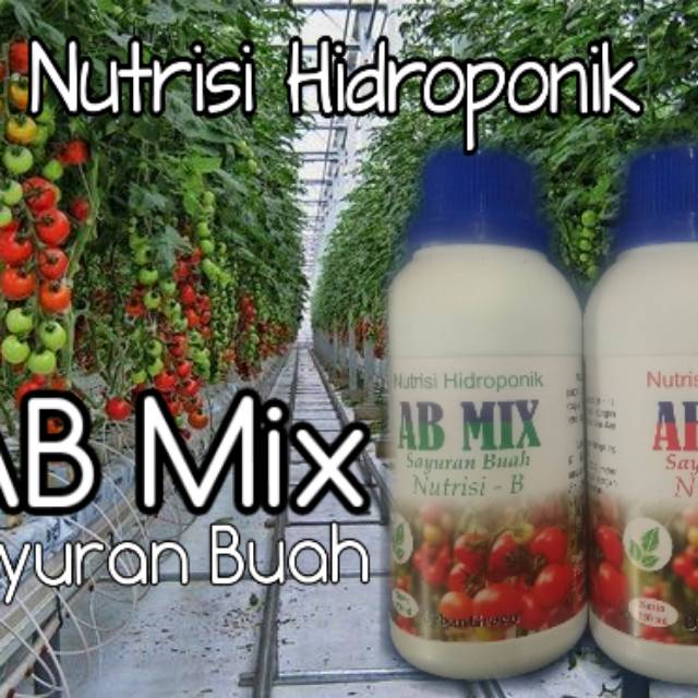 AB Mix Sayuran Buah
