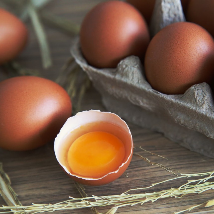 

Telur Ayam Omega 369 Berkah Chicken Organik