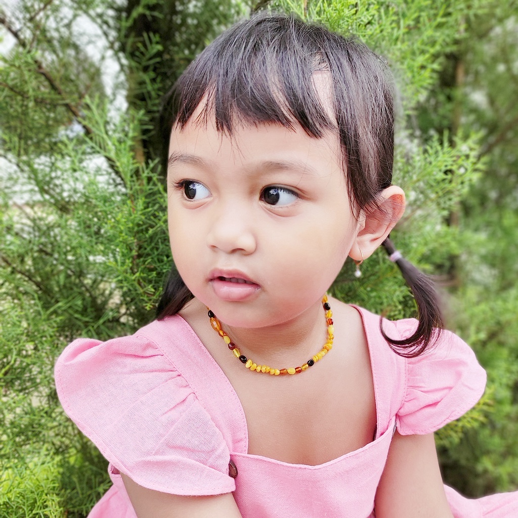 CE139 Kalung Amber Tumbuh Gigi Bayi By Carlis Baby
