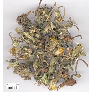 

Pu gong ying 蒲公英 Taraxaci Herba/Teh Dandelion Premium 600 gram