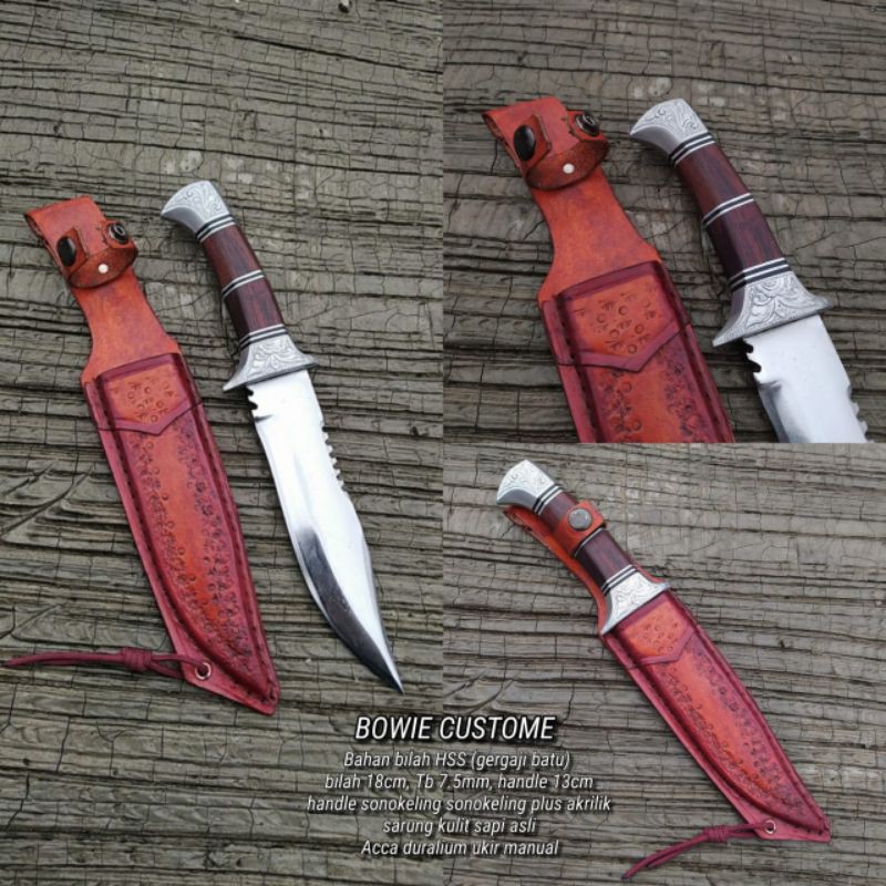 Bowie custom survival