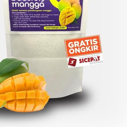 ☎ PUPUK BOOSTER MANGGA PUPUK MANGGA PUPUK BUAH MANGGA 100% AMPUH BERBUAH ✤