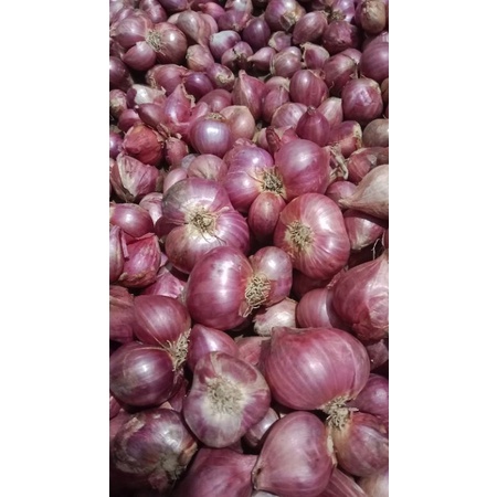 

1kilo bawang merah probolinggo