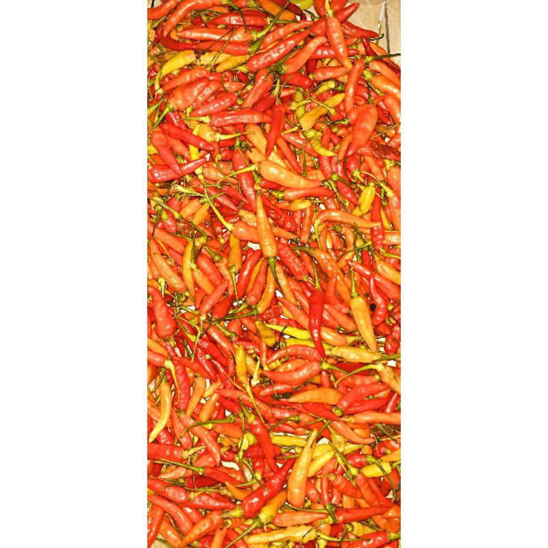 

CabeRawit