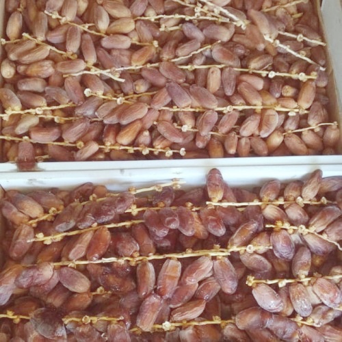 Kurma Palmtunis DATES 500gr/   / PALM FRUTT KEMASAN DUS