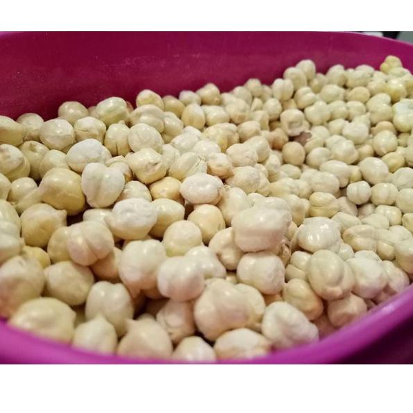 

ϟ Segera Dapatkan ϟ Kacang arab Super ukuran 1 kg .,.,.,..,