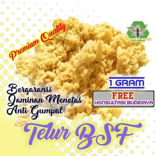 Telur bsf  bergaransi bibit maggot per gram