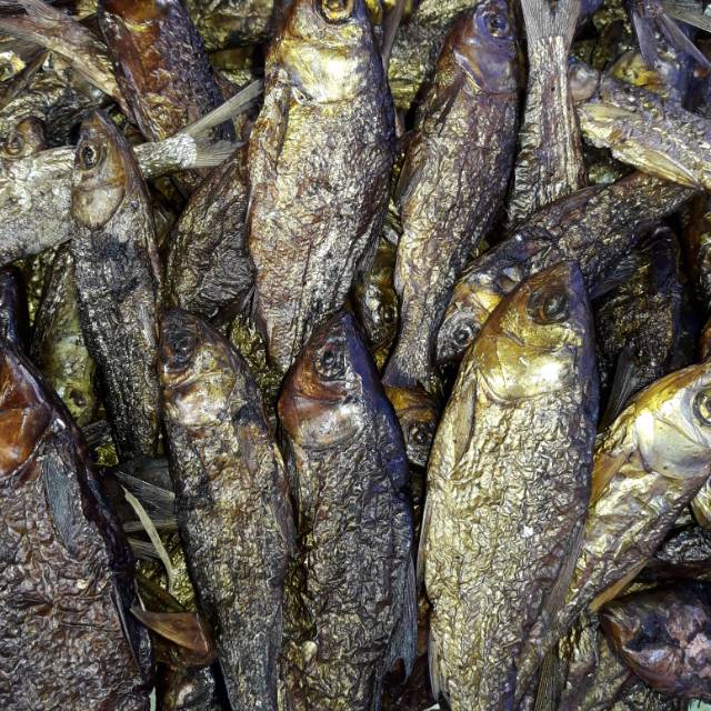 

Ikan Salai / Sale Motan Sungai Khas Kampar