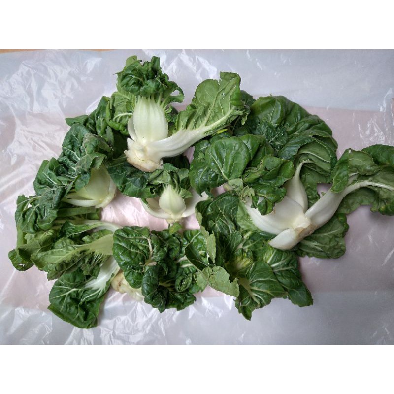 

Sayur Topai Segar 200 Gram