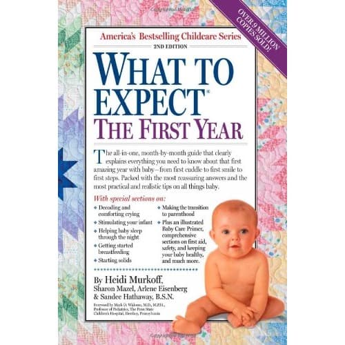 Jual buku what to expect the first year shopee indonesia