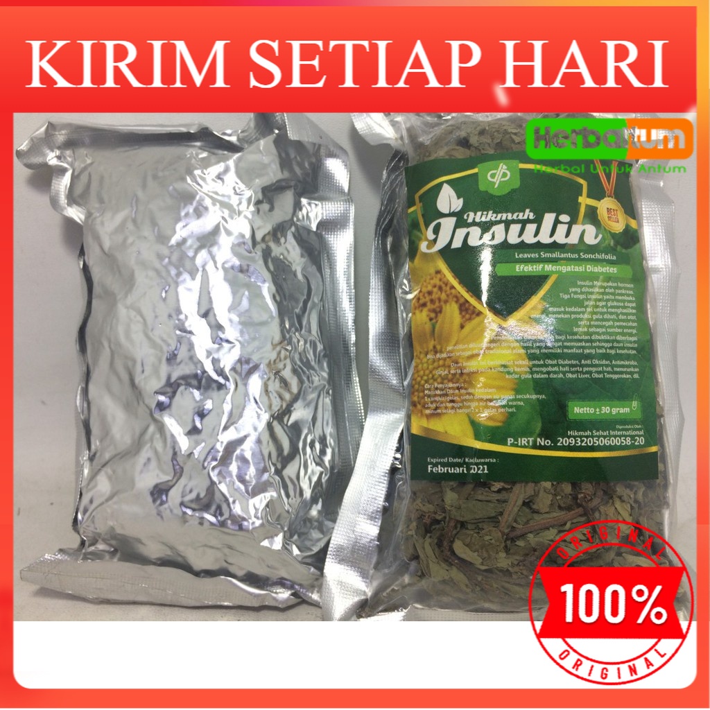 

DAUN HIKMAH INSULIN | DAUN PAITAN | HERBAL DIABETES