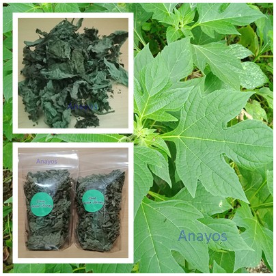 

Daun Insulin Kering 25 Gram Obat Herbal Diabetes