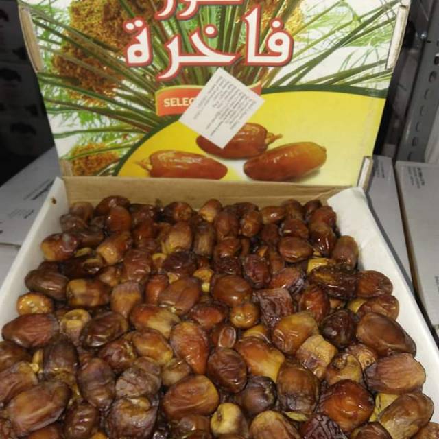 

Kurma shoidi Libya