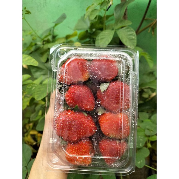 

stroberry fresh uk 1kg, 500gr, 300gr