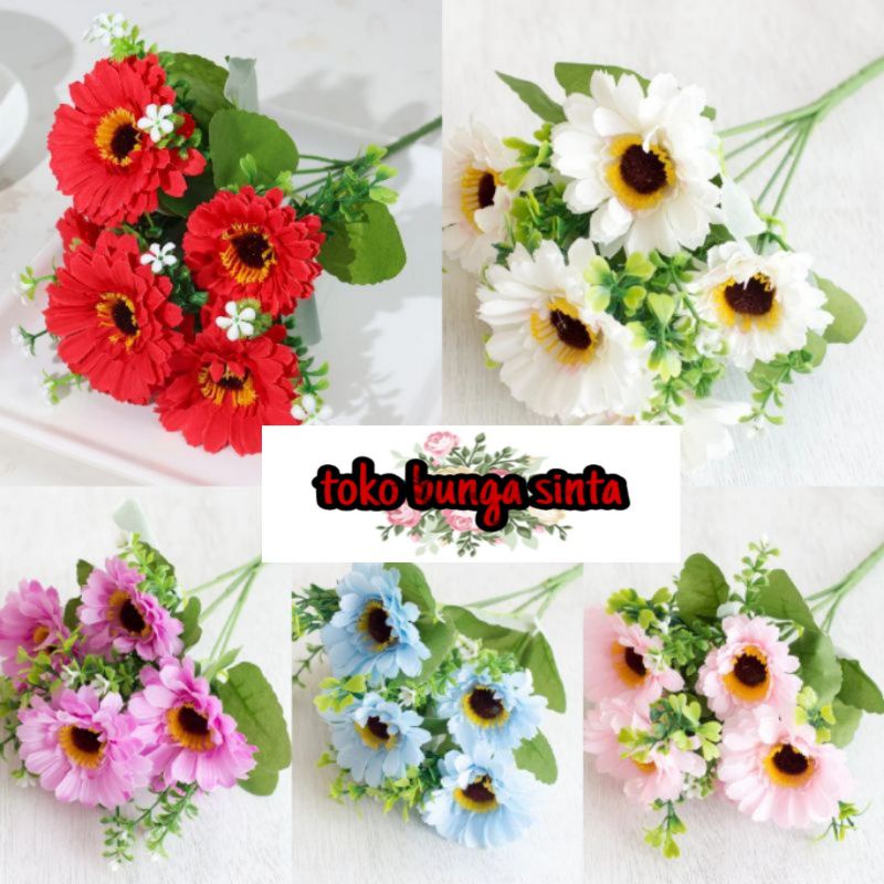 Bunga garbera Matahari / Krisant Garbera Jumbo