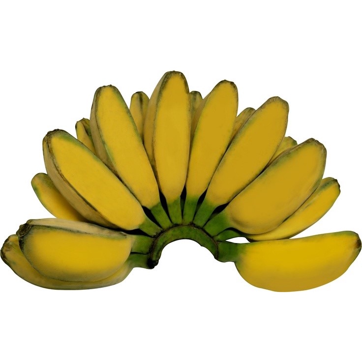 

Pisang Kepok Super /sisir
