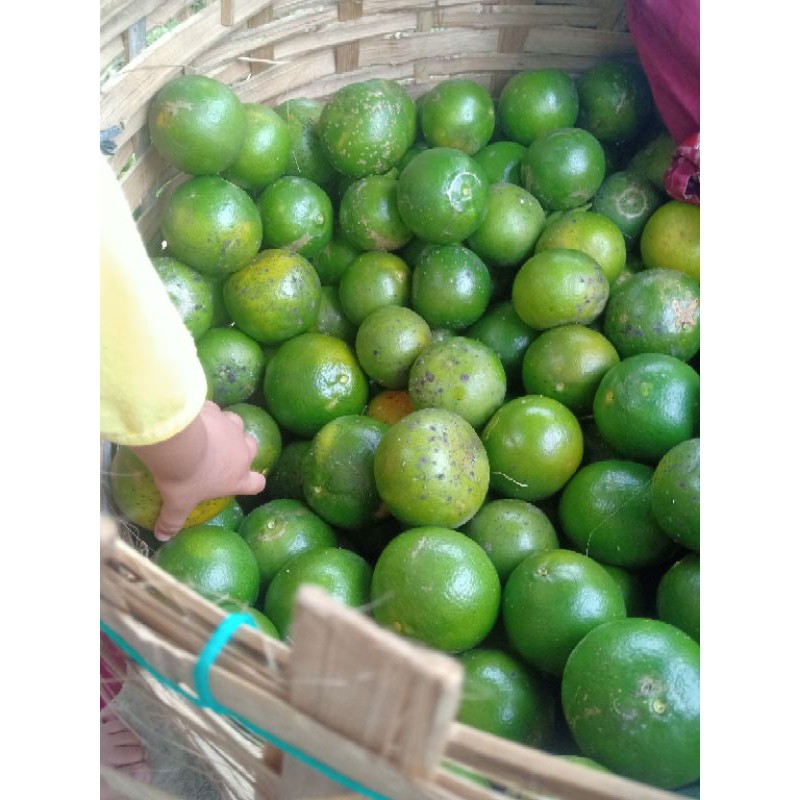 

jeruk manis
