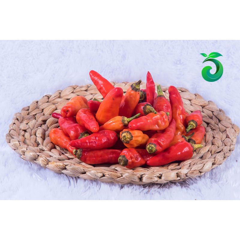

Cabe Rawit 250 Gram