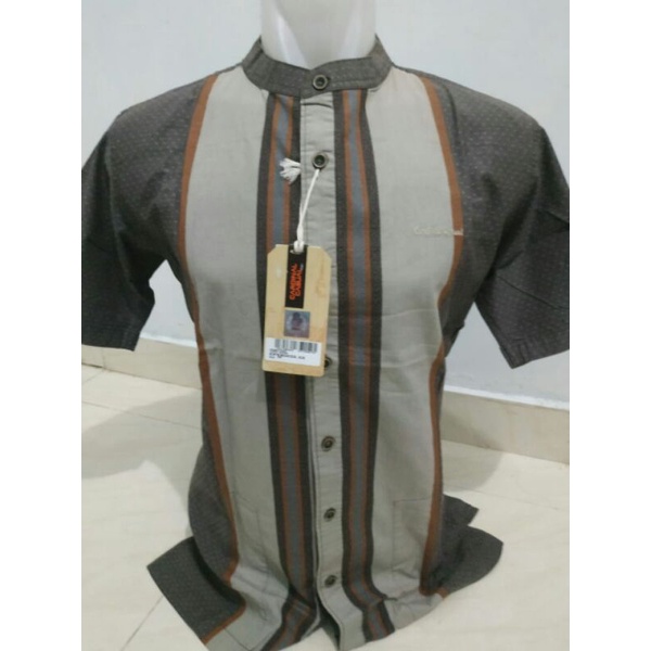 Koko pendek Cardinal ori