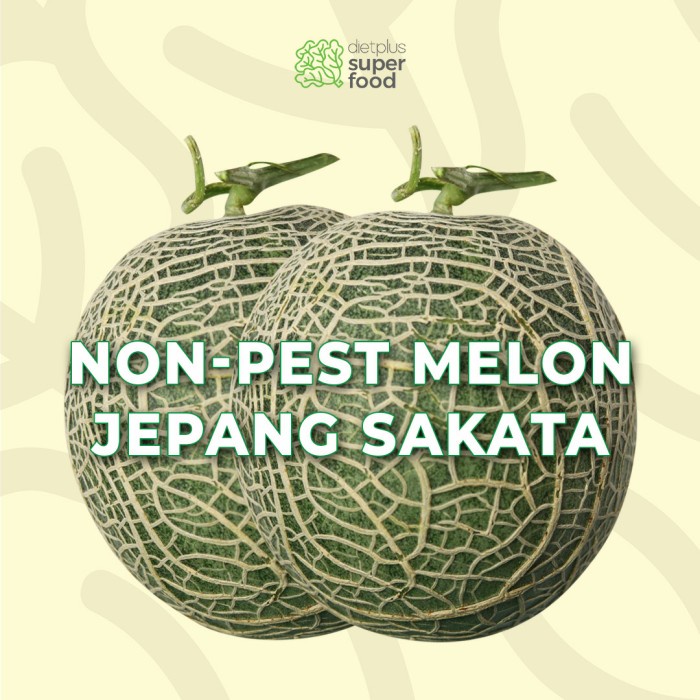 

Melon Jepang Sakata Manis 1 Buah 900-1100 gr / 0.9-1.1 kg Dietplus Superfood
