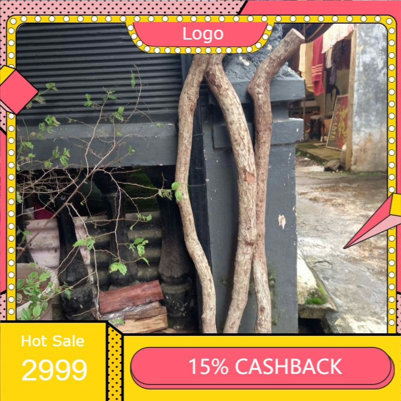 Bahan tongkat  kayu stigi bahan tongkat setigi laut bahan tongkat kayu setigi