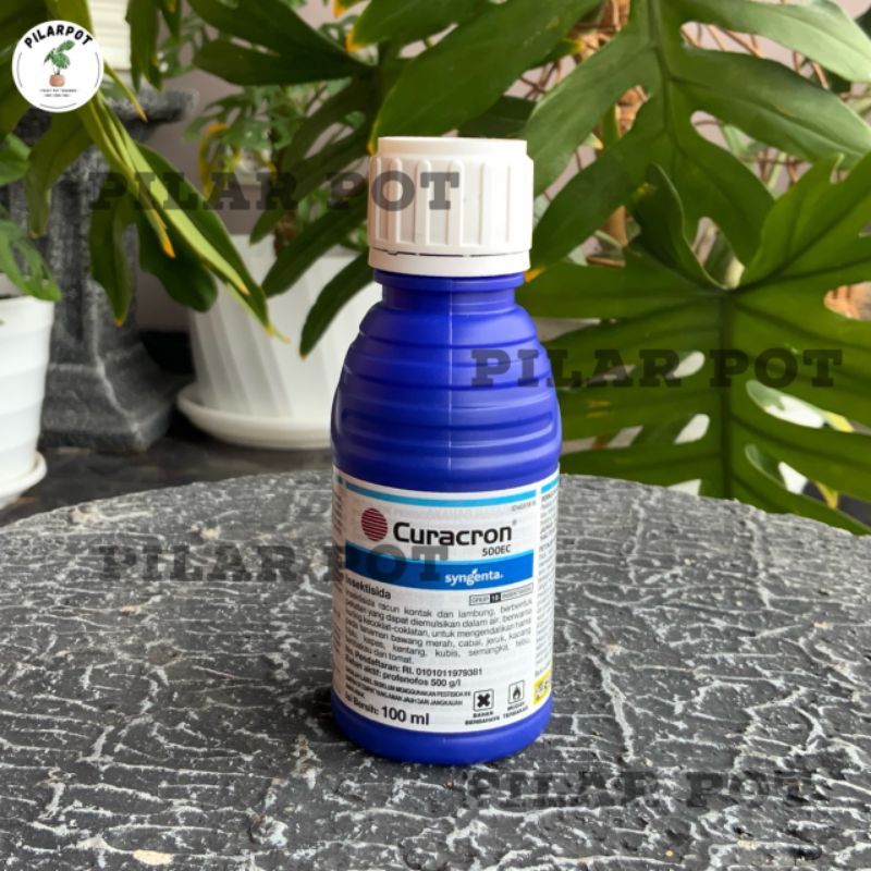 Insektisida pembasmi hama kutu putih CURACRON 500EC 100ml