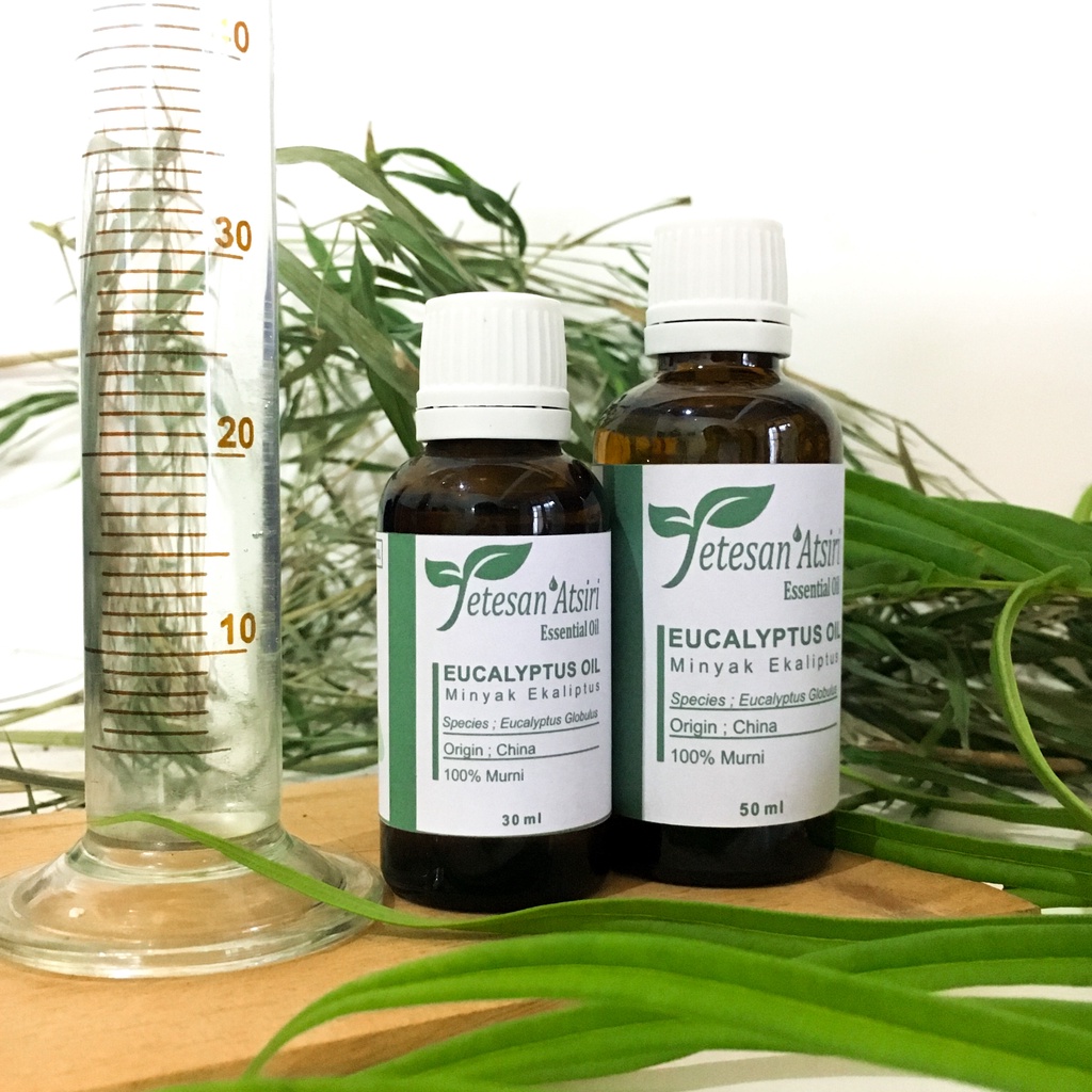 minyak atsiri ekaliptus murni eucalyptus pure essential oil aromatherapy therapeutic grade diffuser humidifier burner aromaterapi esensial essensial esential  tanpa campuran TETESAN ATSIRI 10ml 30ml 50m