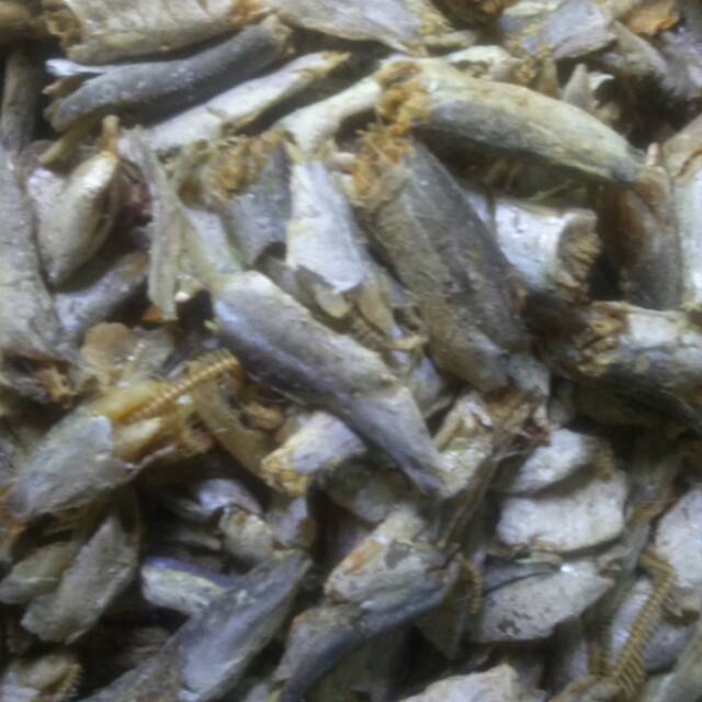 

Sampah Daging Super 500gr