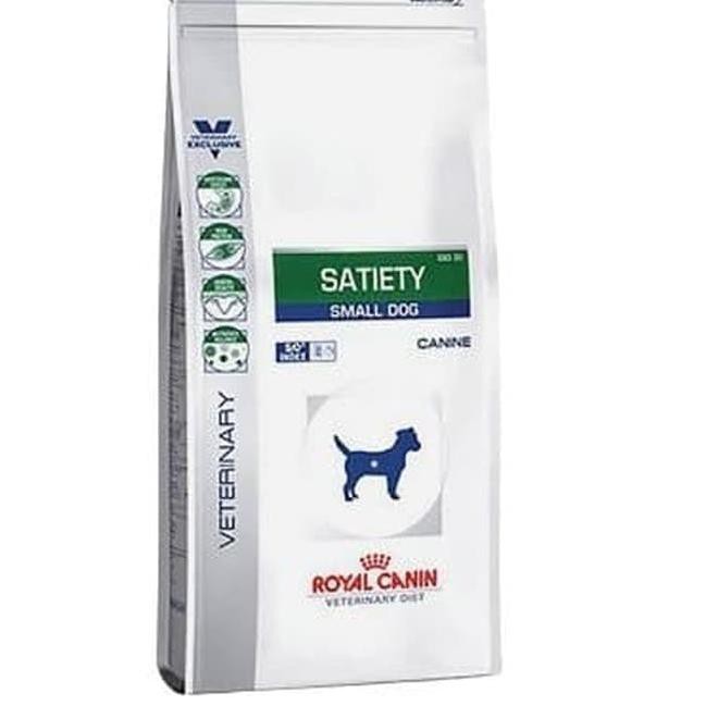 saluki greyhound cross