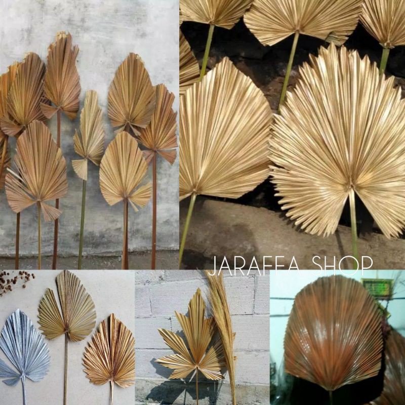 JRA PALEM PAMPAS STIK RAYUNG GRASS DRIED BUNGA KERING KHUSUS GRAB