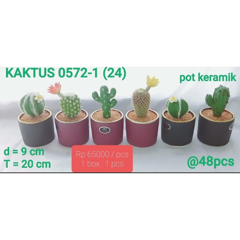 

kaktus 0572-1 (24) artificial pot keramik