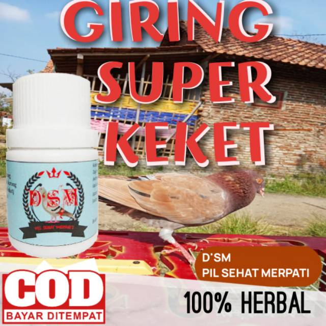 

(BEST SELLER) pil nafas & stamina kuat merpati D'SM Sehat Merpati