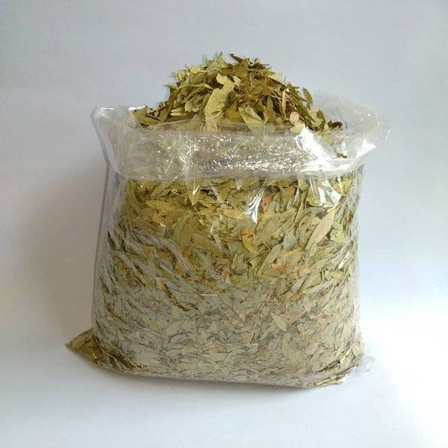 Teh daun jati cina 500gram