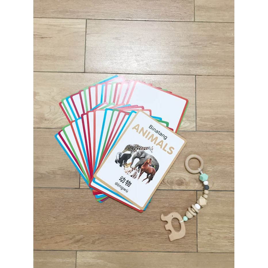 My Own Flashcard /Flash Card Anak 3 Bahasa - Seri Animals kartu pintar